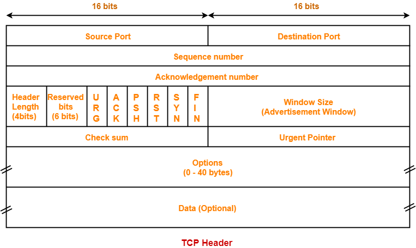 TCP header layout showing source and destination ports, sequence and acknowledgment numbers, flags, window, checksum, options, and optional data